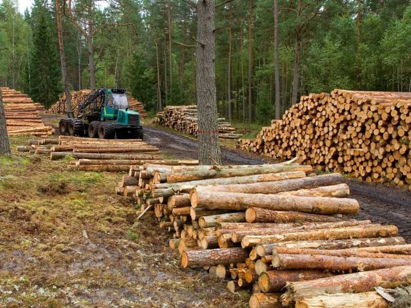Máquinas para el aprovechamiento forestal