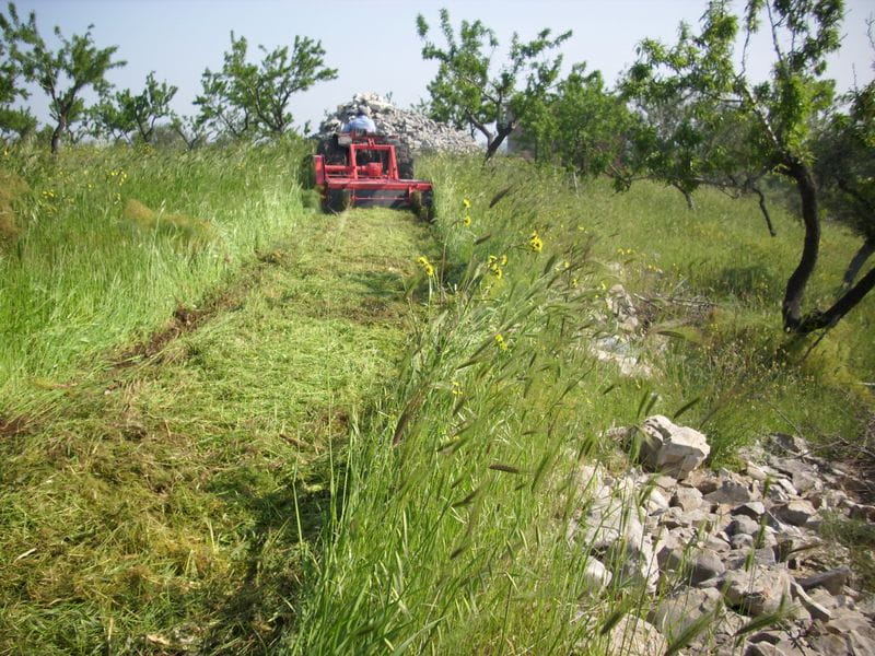 Fresadoras para terrenos in cultivados Almería